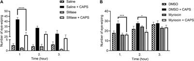 Analgesic Effects of Lipid Raft Disruption by Sphingomyelinase and Myriocin via Transient Receptor Potential Vanilloid 1 and Transient Receptor Potential Ankyrin 1 Ion Channel Modulation